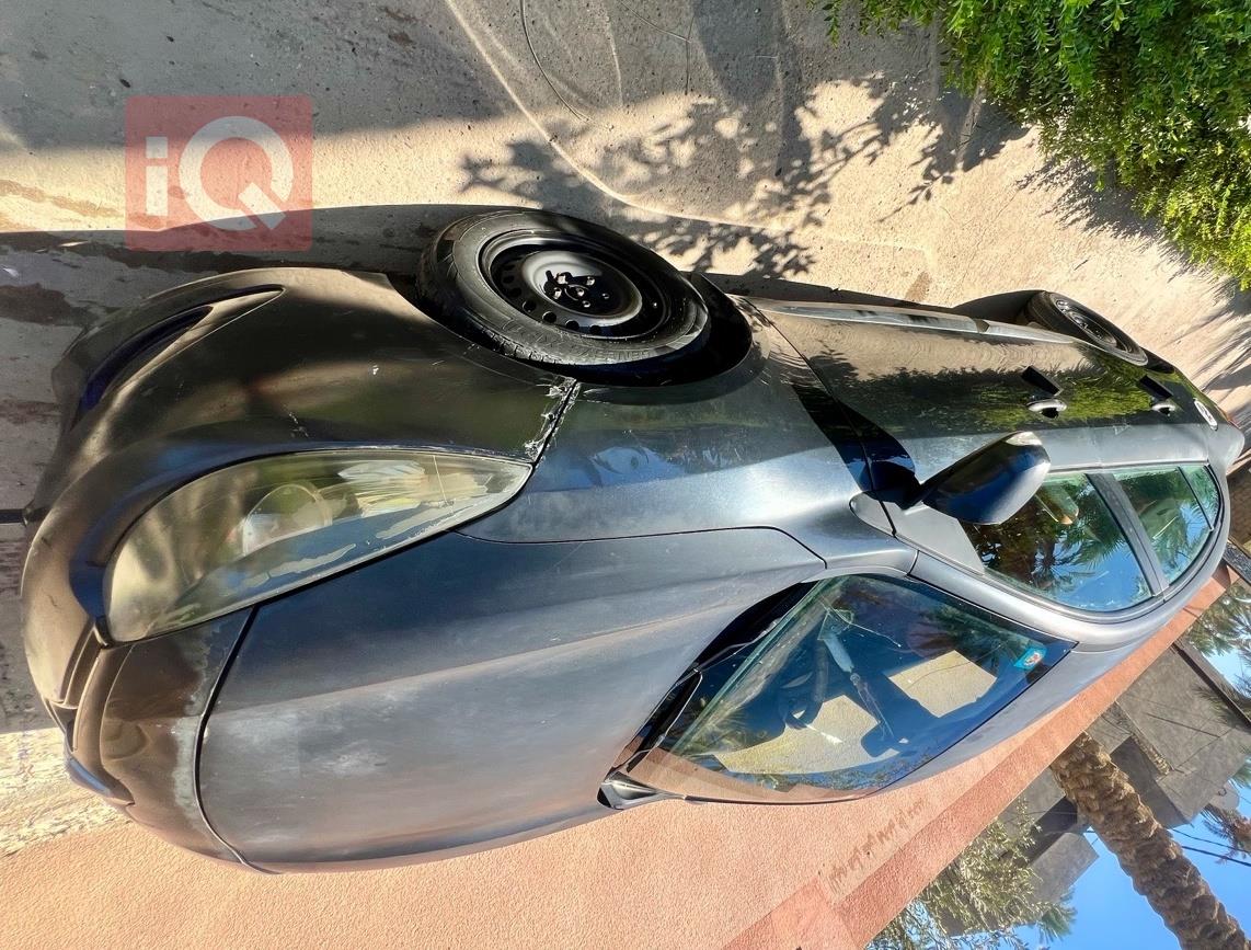 رينو فلوينس